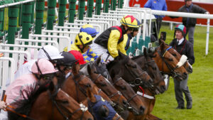 Mbio za Farasi Zahairishwa Southwell.