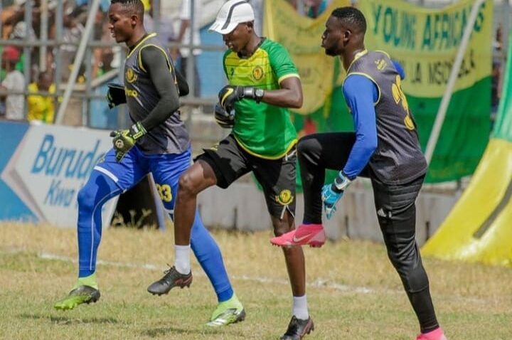 Metacha In, Shikhalo Out