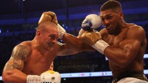 Hunter: Joshua Anaweza Kulipiza kwa Usyk Kama Akizijua Sheria