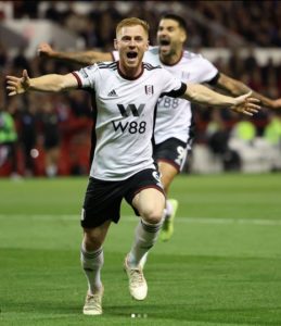 Fulham Yapata Alama 3 Kibabe