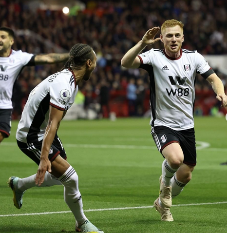 Fulham Yapata Alama 3 Kibabe