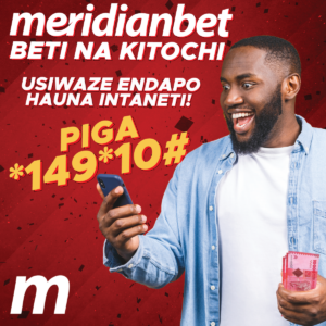 Bashiri Bila Intaneti Leo