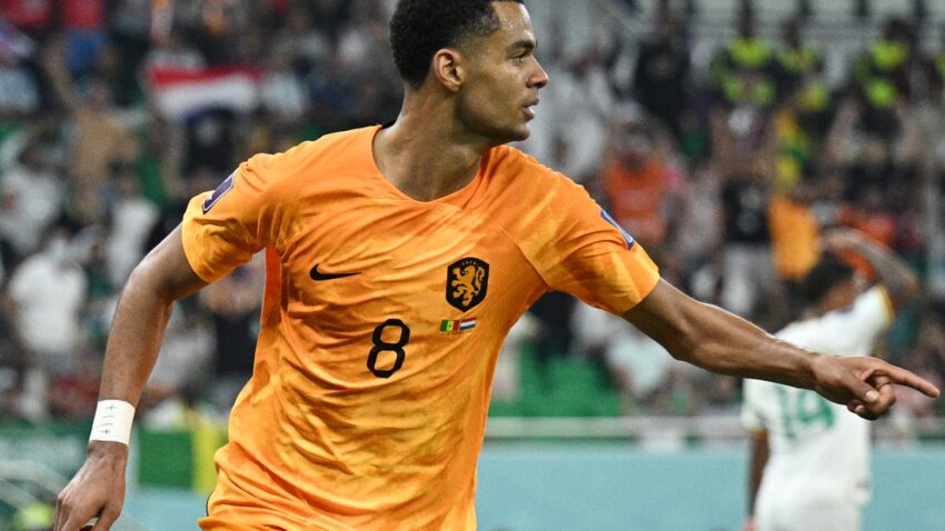 Gakpo: "Uholanzi Inaweza Kufanya Vizuri Zaidi"