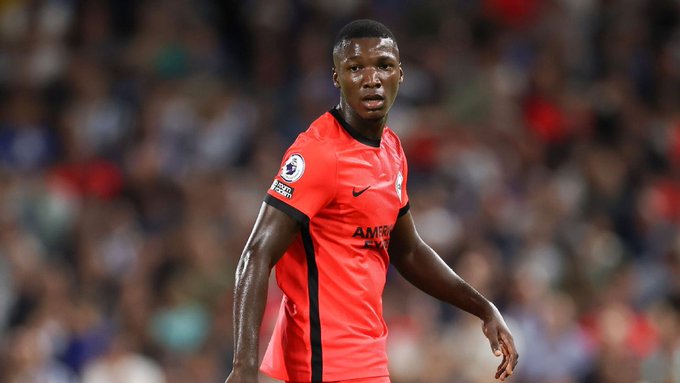 Caicedo Bado Yupoyupo Brighton