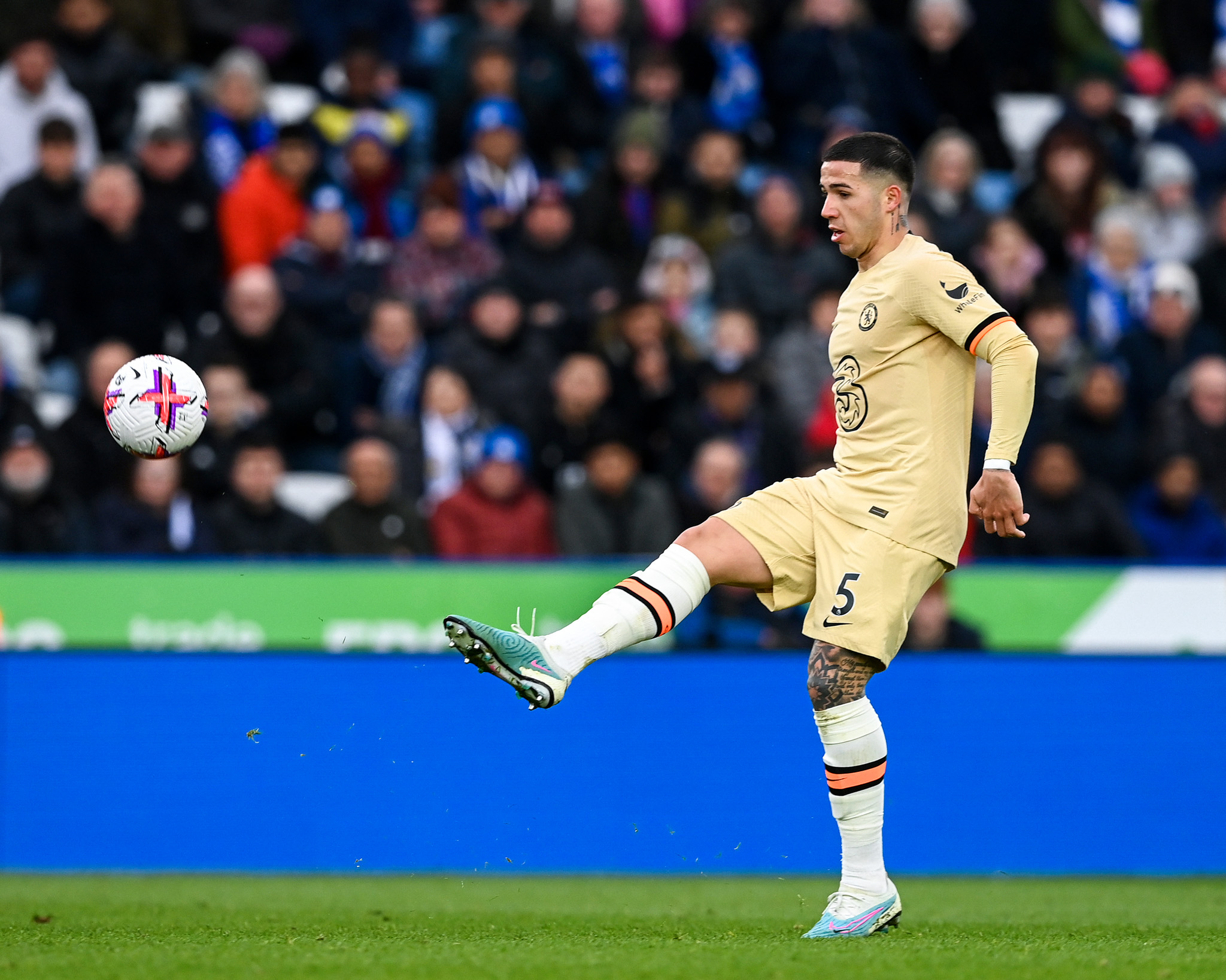 Chelsea Gari Limewaka