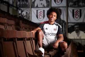 Willian Asaini Tena Fulham