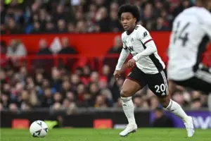Willian Asaini Tena Fulham