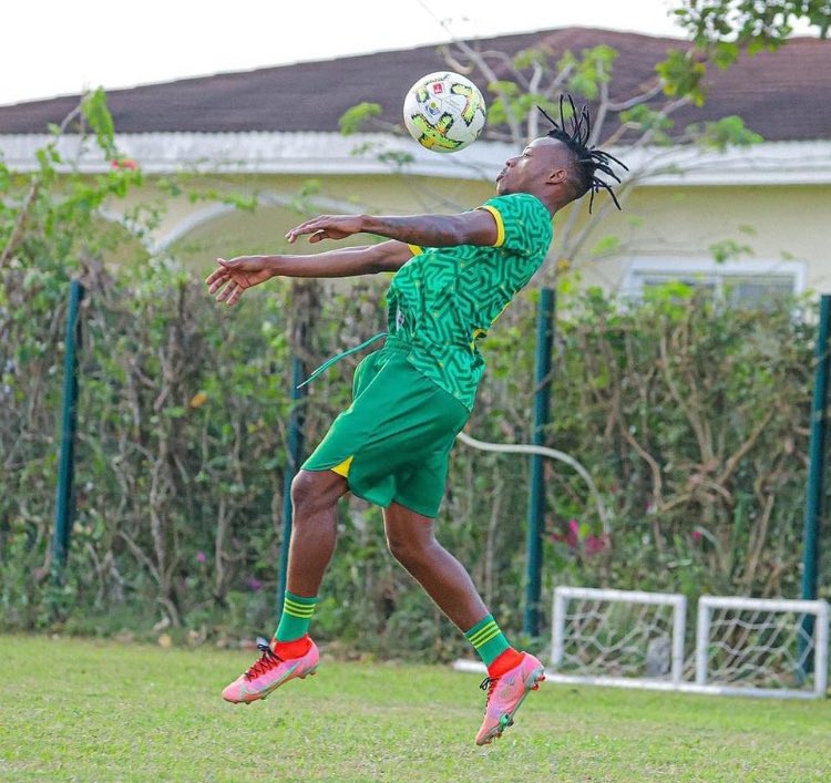 Gamondi Awatuliza Mashabiki Yanga