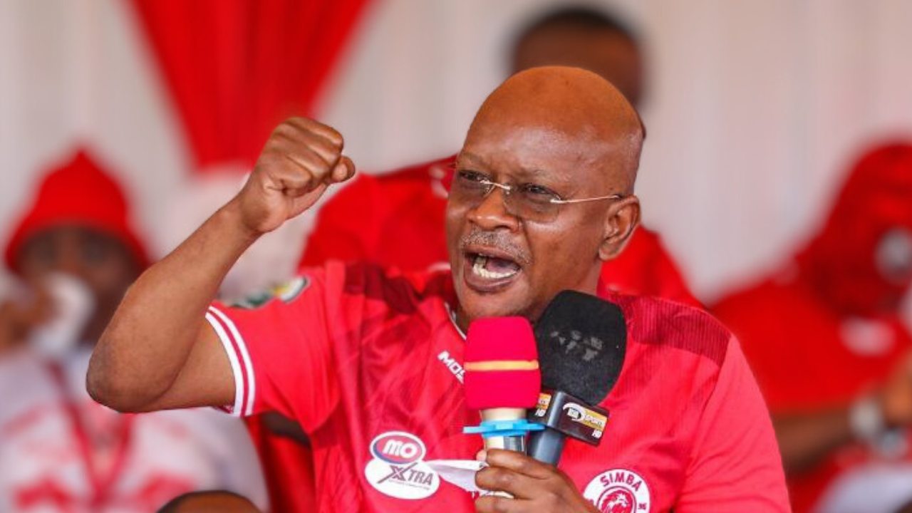 Mangungu Ni Chuma, Ashikilia Kuti Kavu Simba